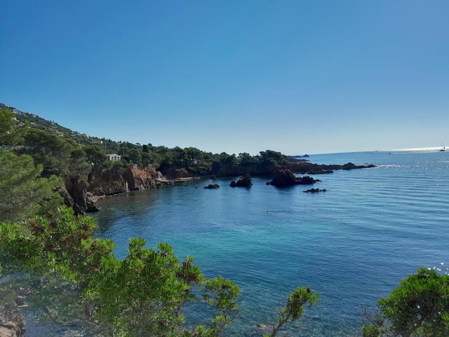 Charmant Studio Lumineux Avec Parking Prive Saint-Raphaël Εξωτερικό φωτογραφία