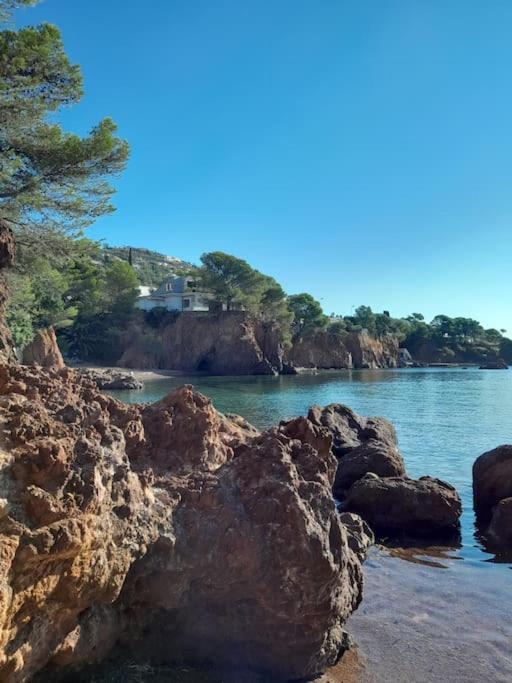 Charmant Studio Lumineux Avec Parking Prive Saint-Raphaël Εξωτερικό φωτογραφία