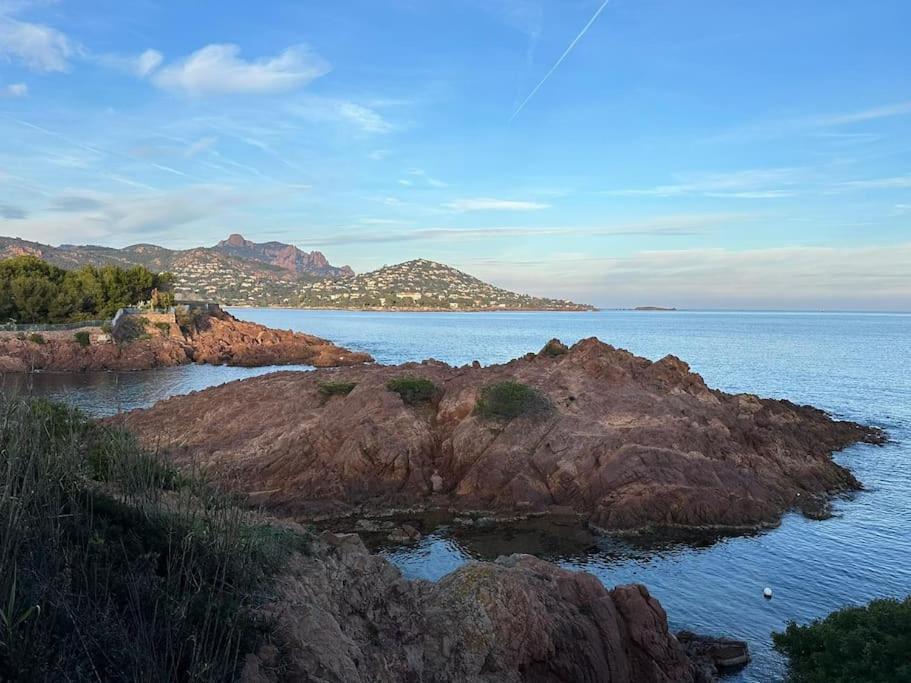Charmant Studio Lumineux Avec Parking Prive Saint-Raphaël Εξωτερικό φωτογραφία